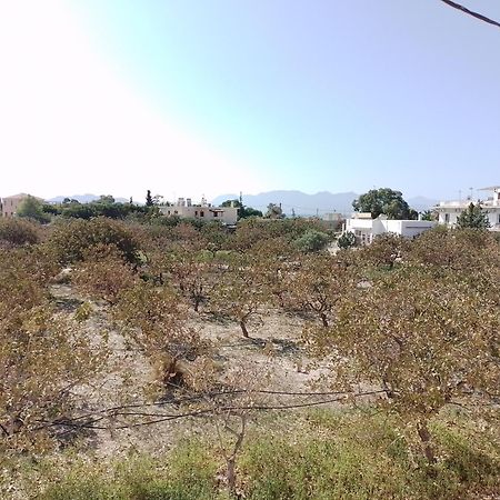 Miranta Hotel - Apartments & Studios Aegina Bagian luar foto