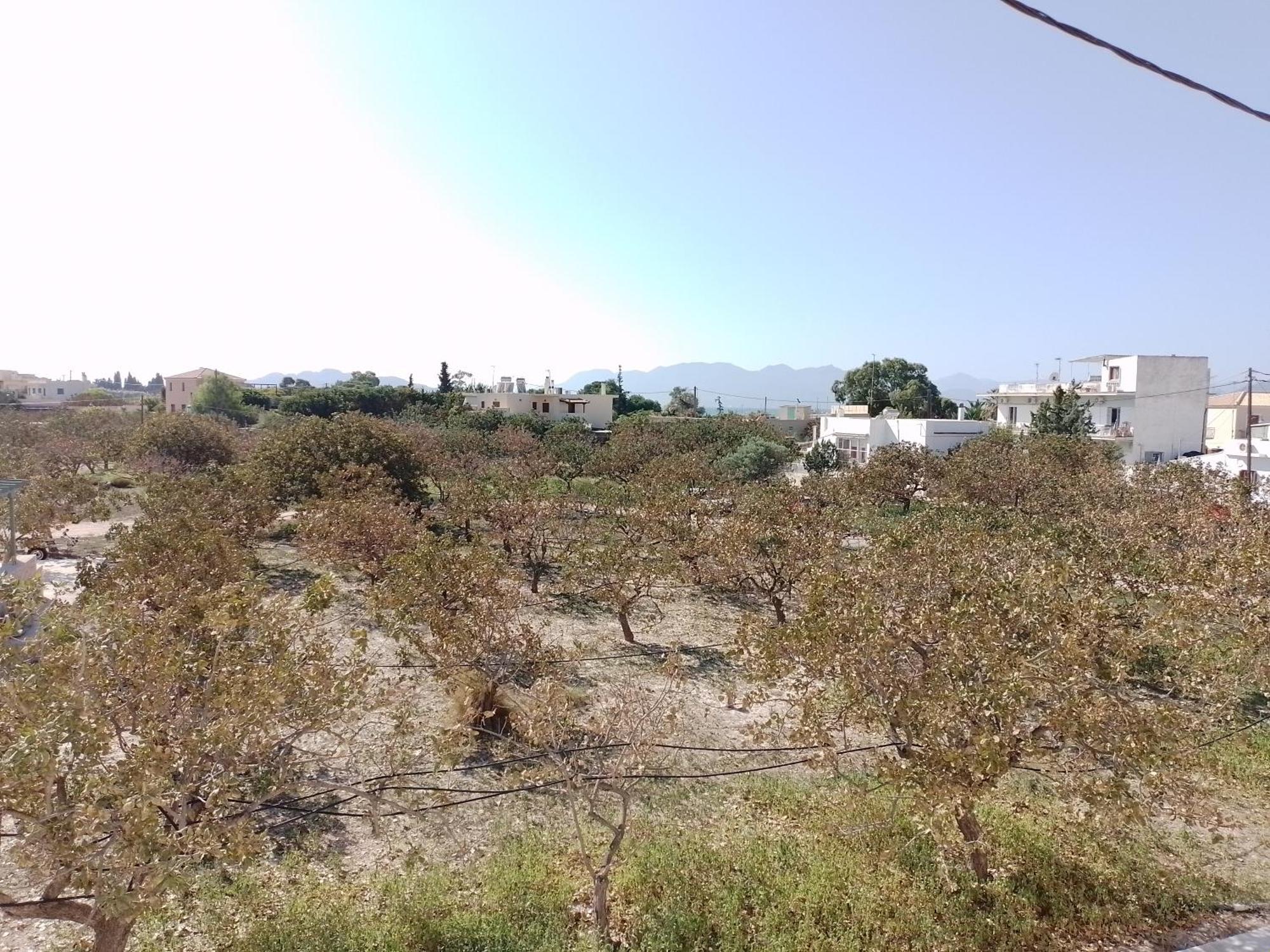 Miranta Hotel - Apartments & Studios Aegina Bagian luar foto